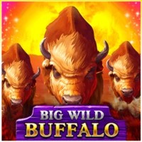 game logo by Belatra Games on baxterbetcasino.eu.com
